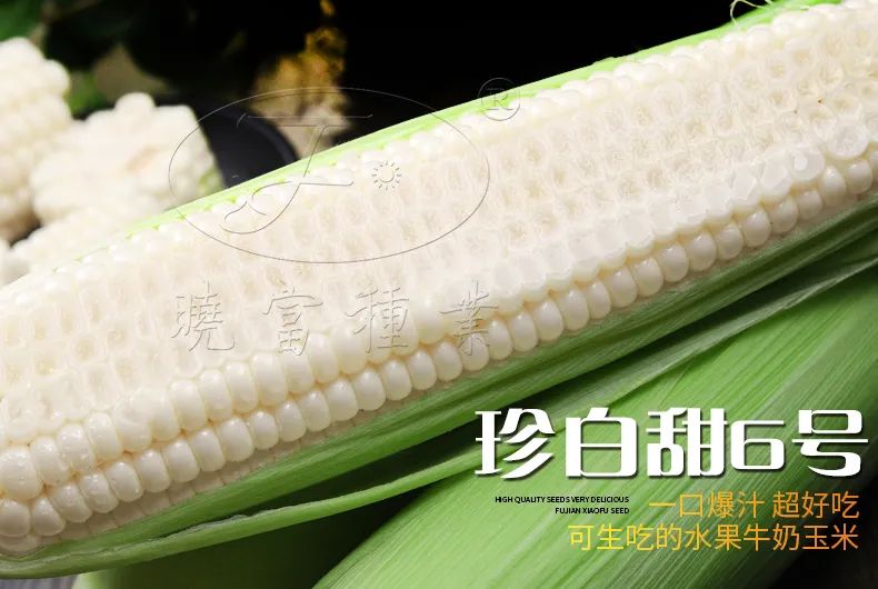 1646191134512172.jpg 05.jpg